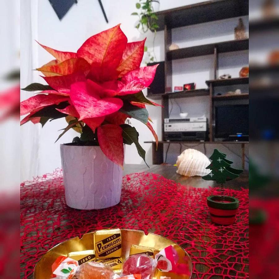 شقة Casa Del Maestrale أتشيريالي المظهر الخارجي الصورة